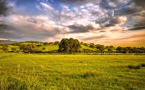 Prairie