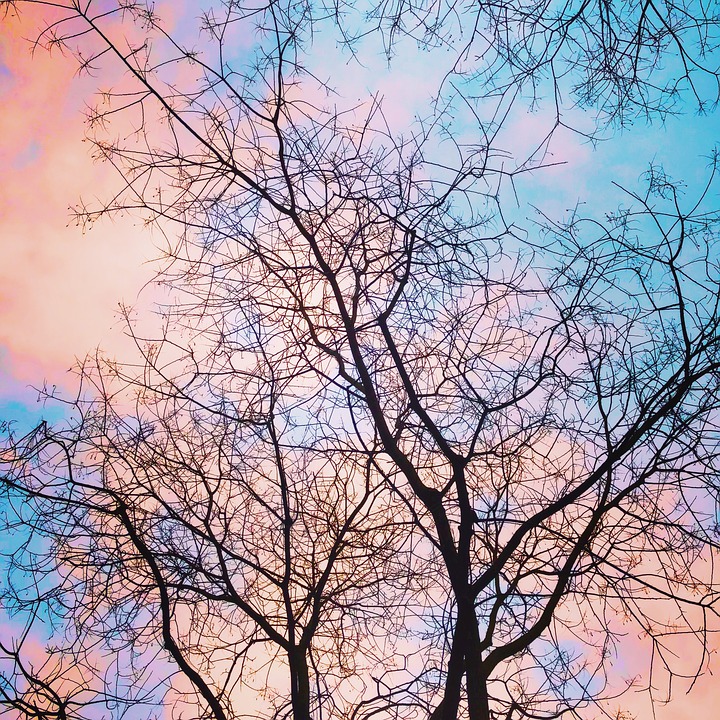 Aesthetic